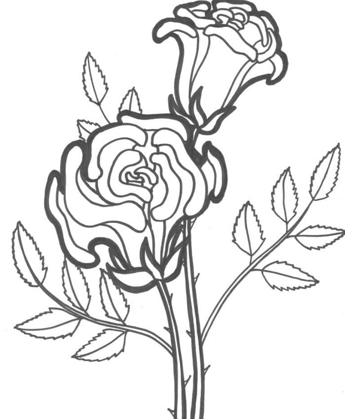 Anmutige Rose ausmalbilder