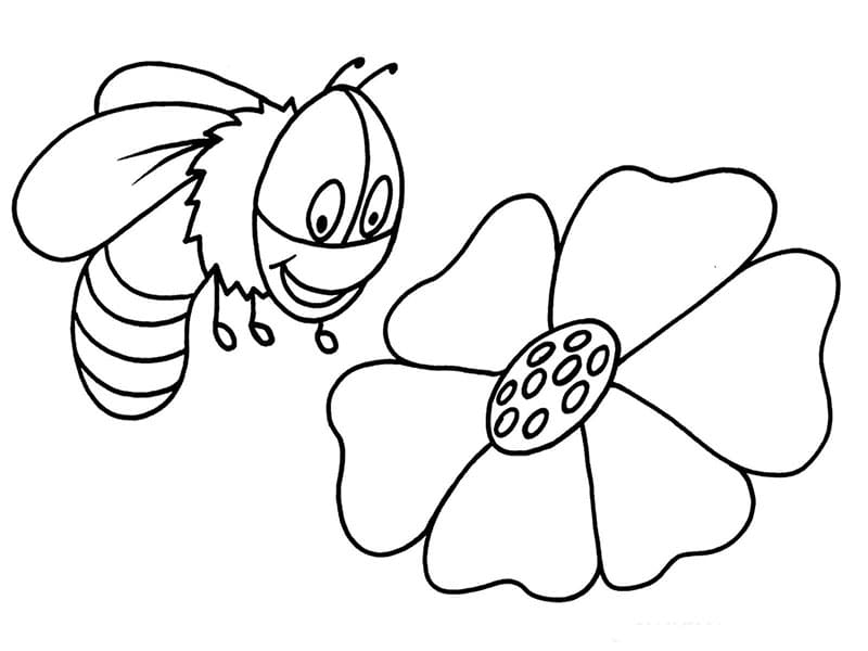 Biene Für Kinder ausmalbilder