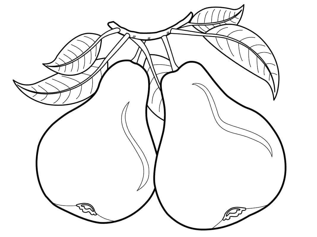 Birne Frucht ausmalbilder