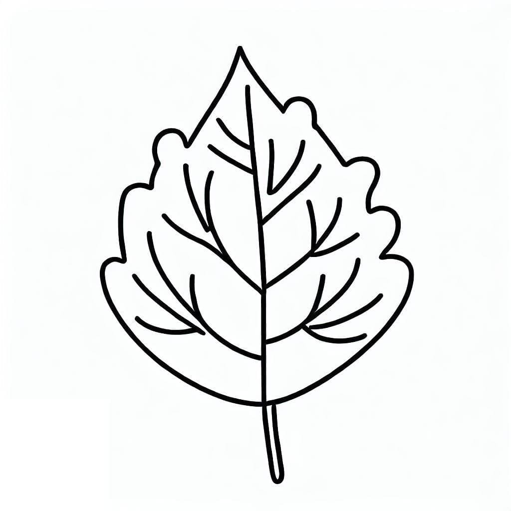 Blatt ausmalbilder