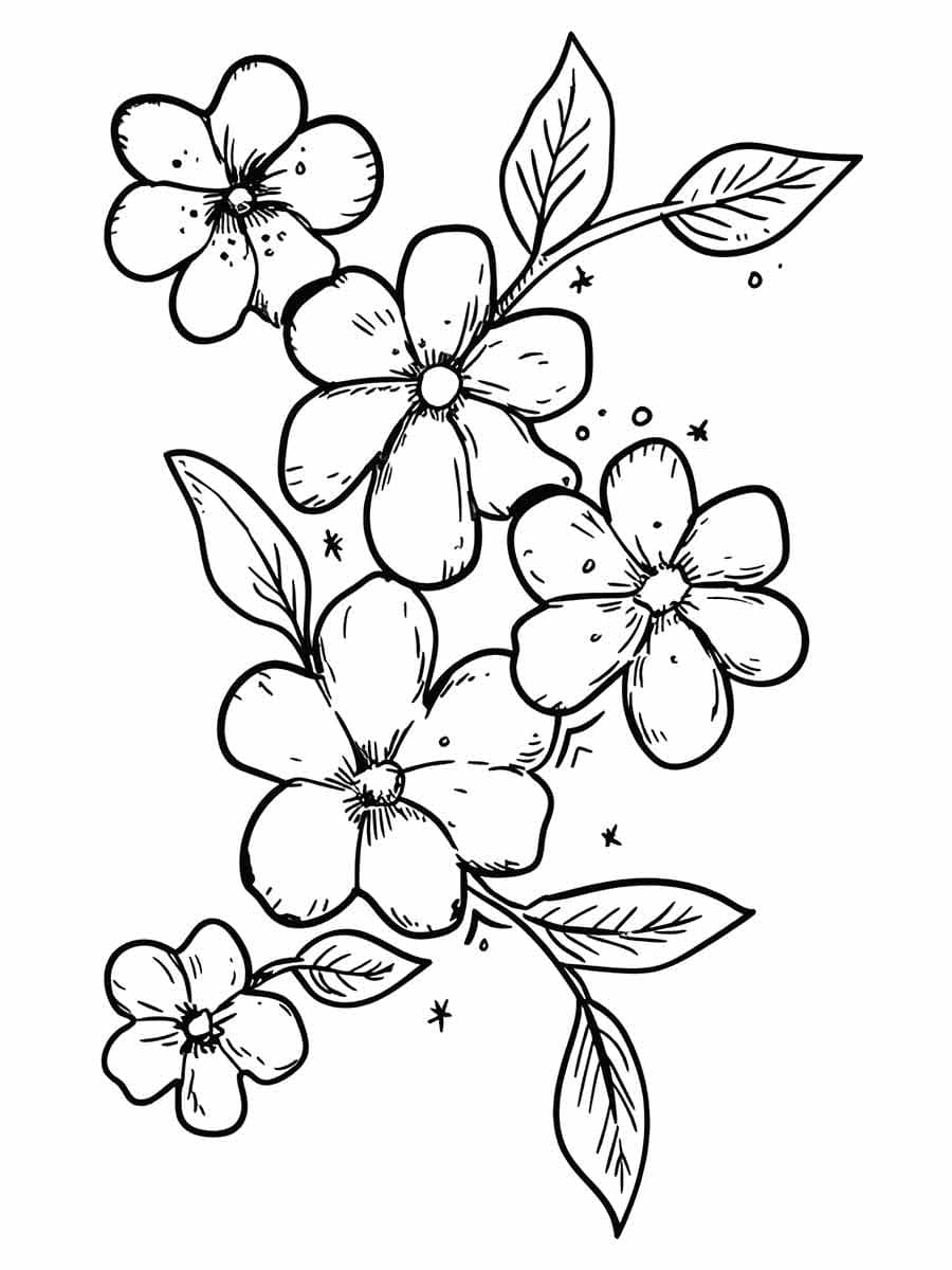 Blume 4 ausmalbilder