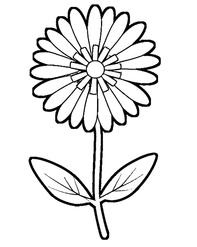 Blume kostenlos für Kinder ausmalbilder