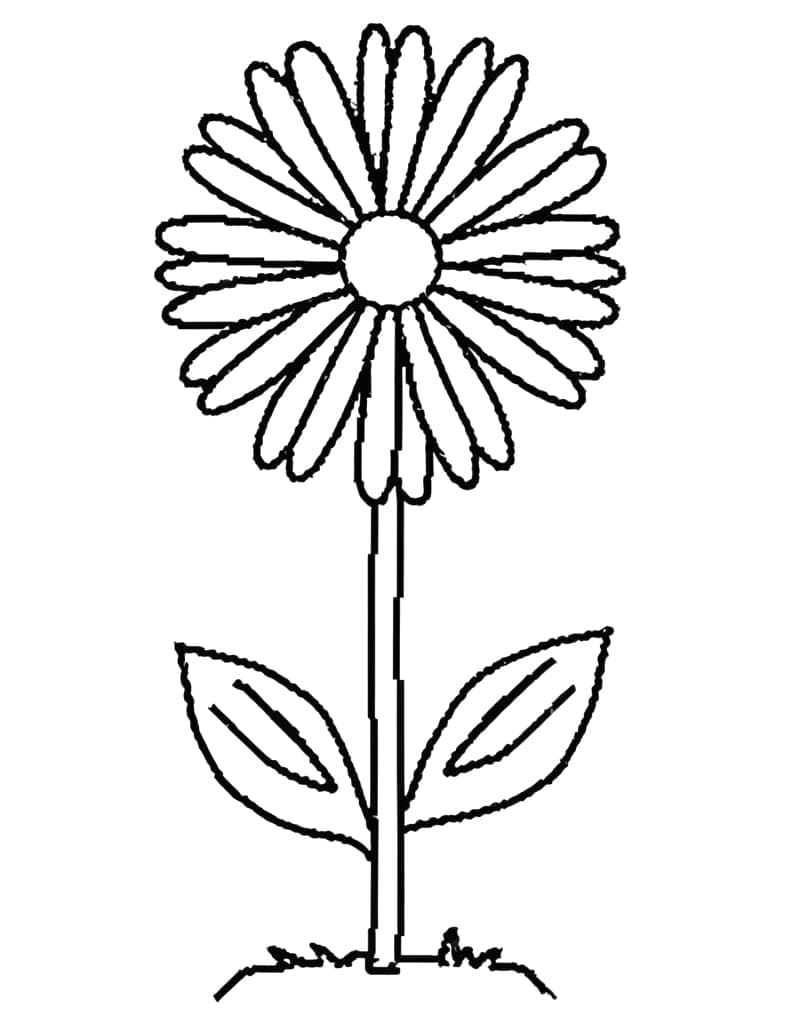 Blume kostenlos ausmalbilder