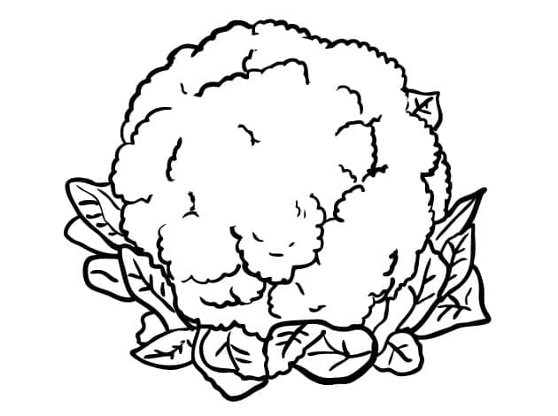Blumenkohl Bild ausmalbilder