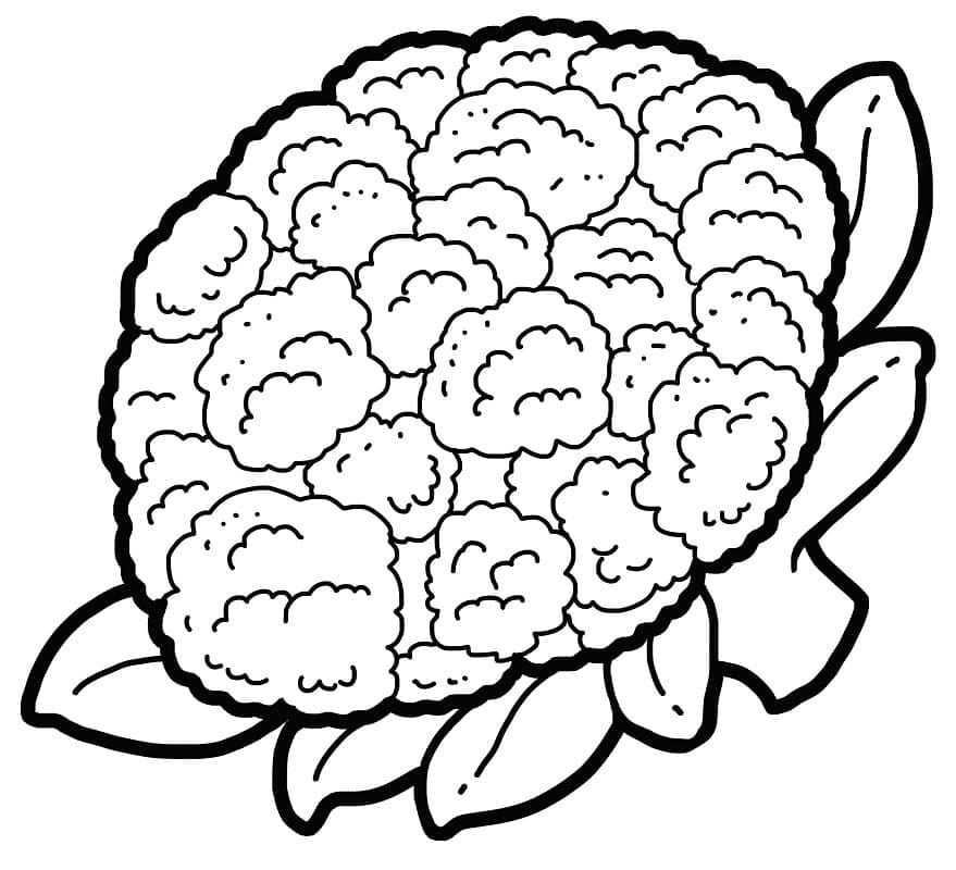 Blumenkohl druckbereit ausmalbilder