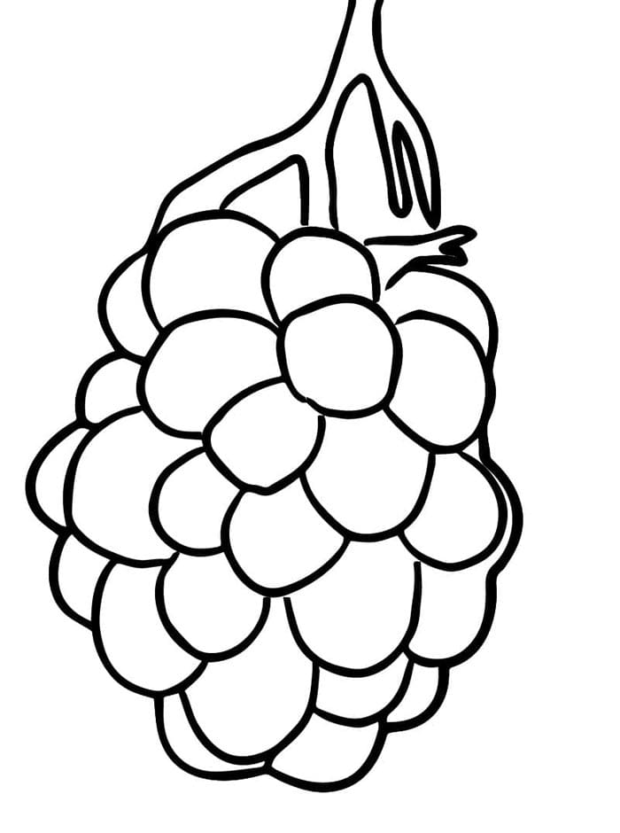 Brombeere ausmalbilder