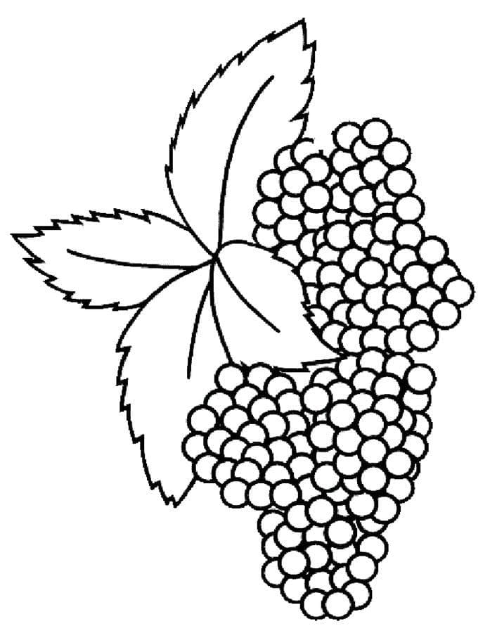Brombeere zum Drucken ausmalbilder