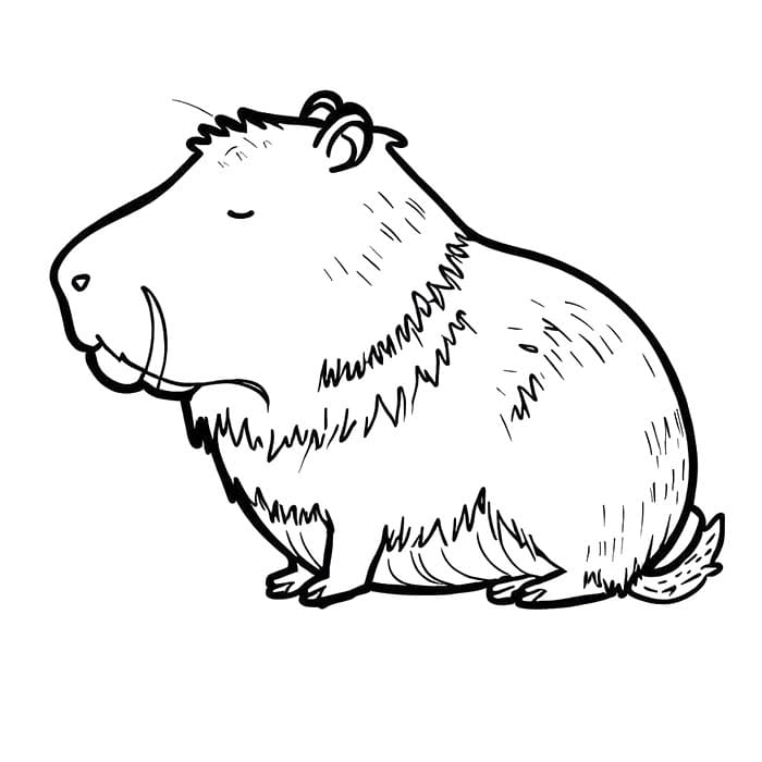 Capybara Druckbar ausmalbilder