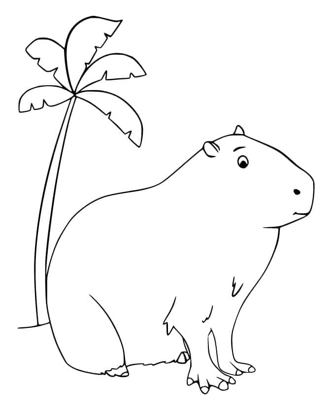 Capybara Drucken ausmalbilder