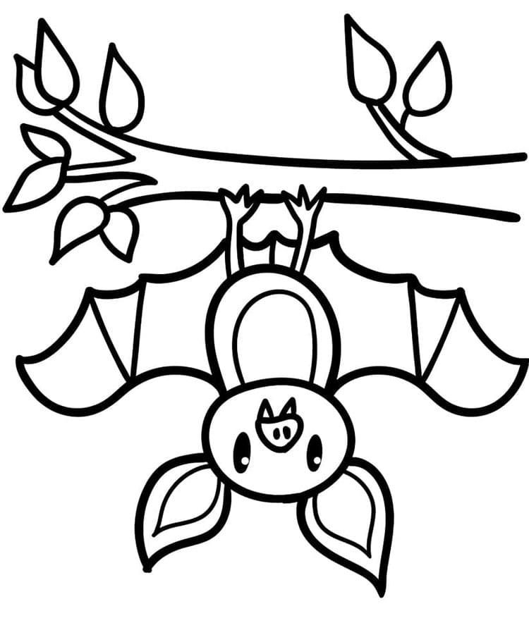 Druckbar Fledermaus Für Kinder ausmalbilder