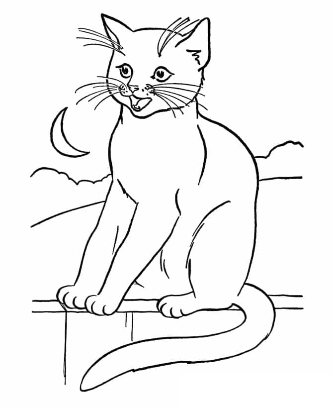 Druckbar Katze Für Kinder ausmalbilder