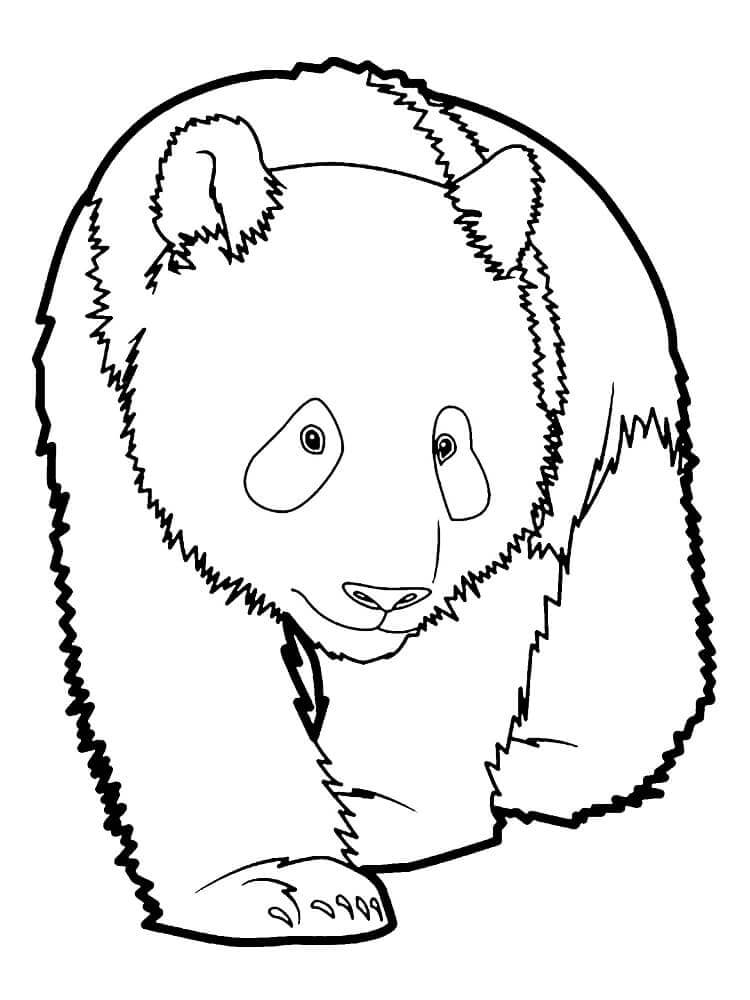 Druckbar Panda Für Kinder ausmalbilder