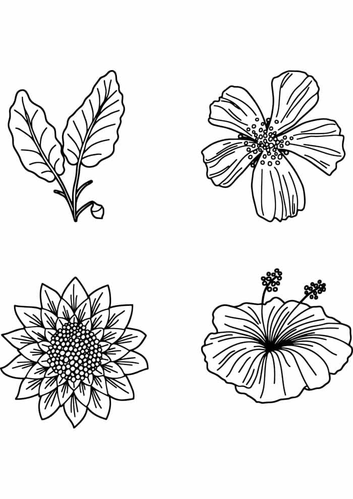 Druckbare Blume ausmalbilder