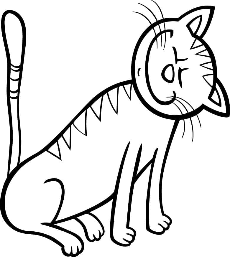 Druckbare Katze ausmalbilder