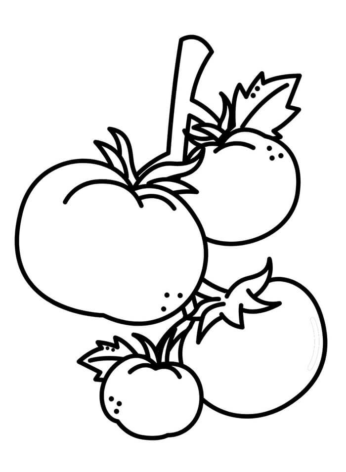 Druckbare Kinder-Bildversion Tomate ausmalbilder