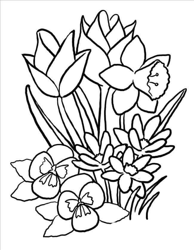 Druckbarer Frühling ausmalbilder