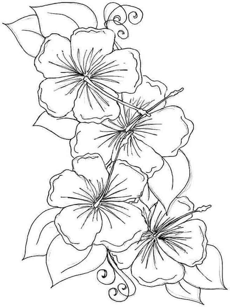 Druckbarer Hibiskus ausmalbilder