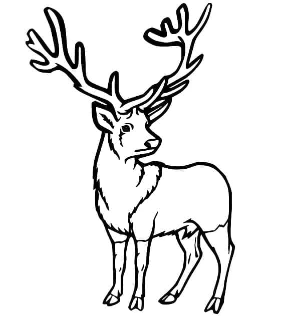 Druckbarer Hirsch ausmalbilder
