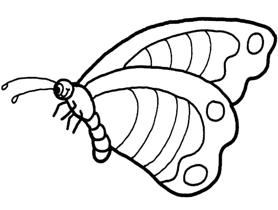 Druckbarer Schmetterling ausmalbilder