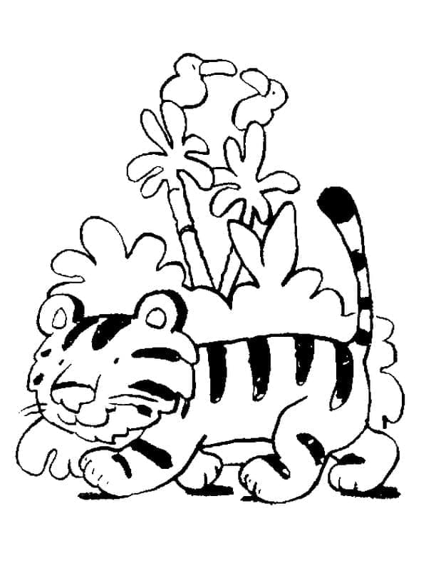 Druckbarer Tiger ausmalbilder