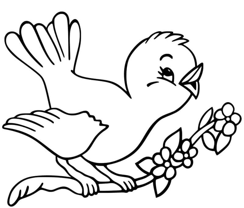 Druckbarer Vogel ausmalbilder
