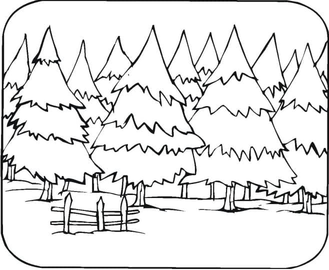 Druckbarer Wald kostenlos ausmalbilder