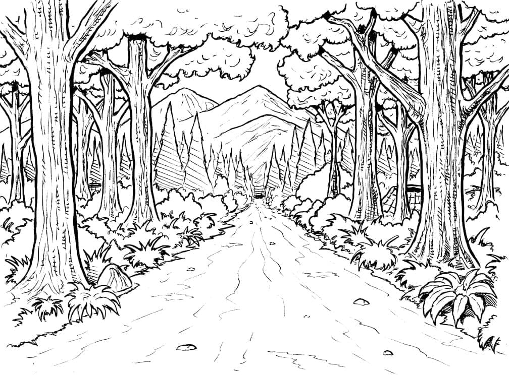 Druckbarer Wald ausmalbilder
