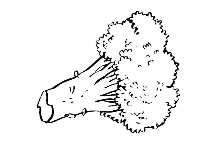 Druckbares Brokkoli Bild ausmalbilder