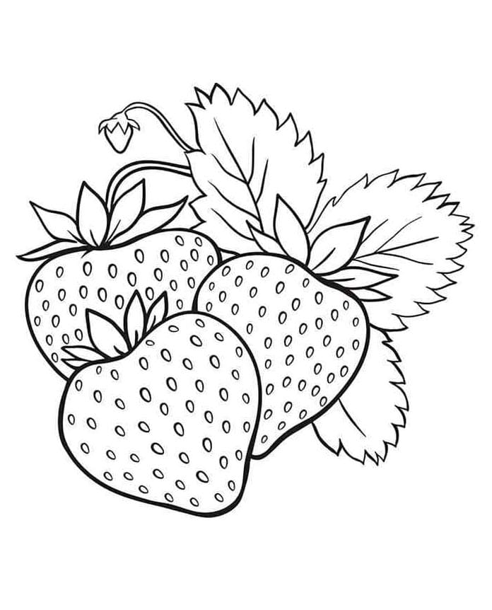 Erdbeeren ausmalbilder