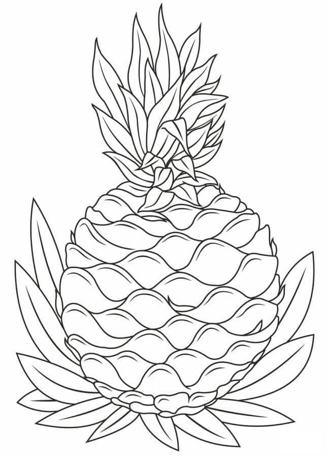 Druckbares Gratis Ananas Exemplar ausmalbilder