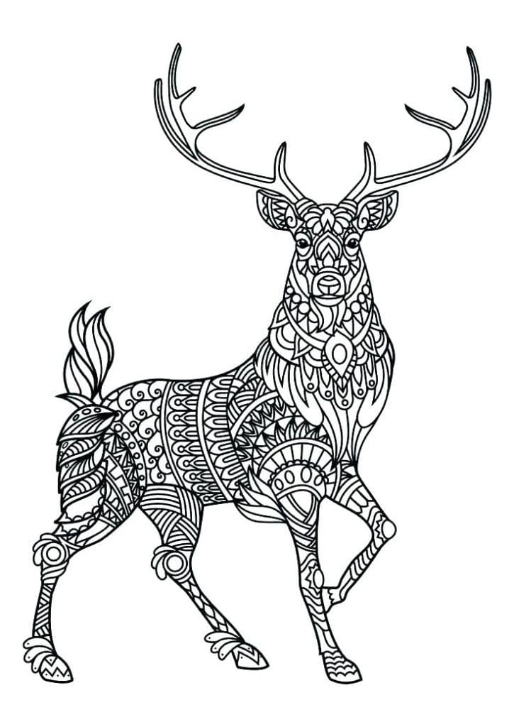 Druckbares Gratis-Tiere Mandala ausmalbilder