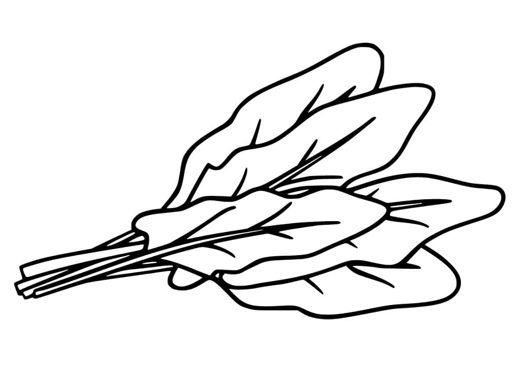 Druckbares Spinats Blatt ausmalbilder
