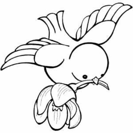 Druckbares Vogel Bild ausmalbilder