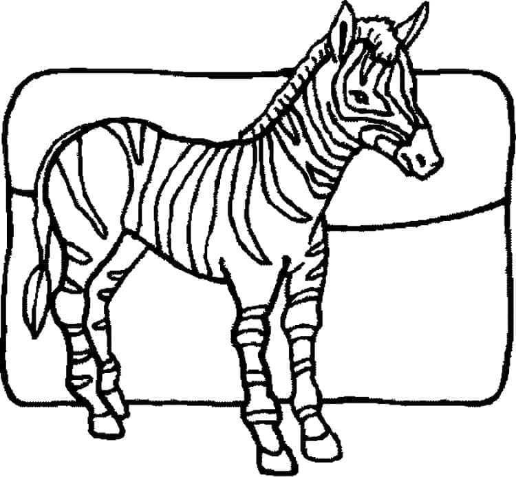 Druckbares Zebra ausmalbilder