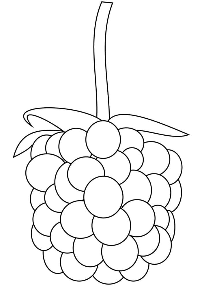 Druckfertige Brombeere ausmalbilder