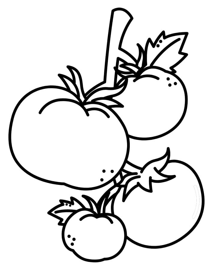 Druckfertige Tomate ausmalbilder