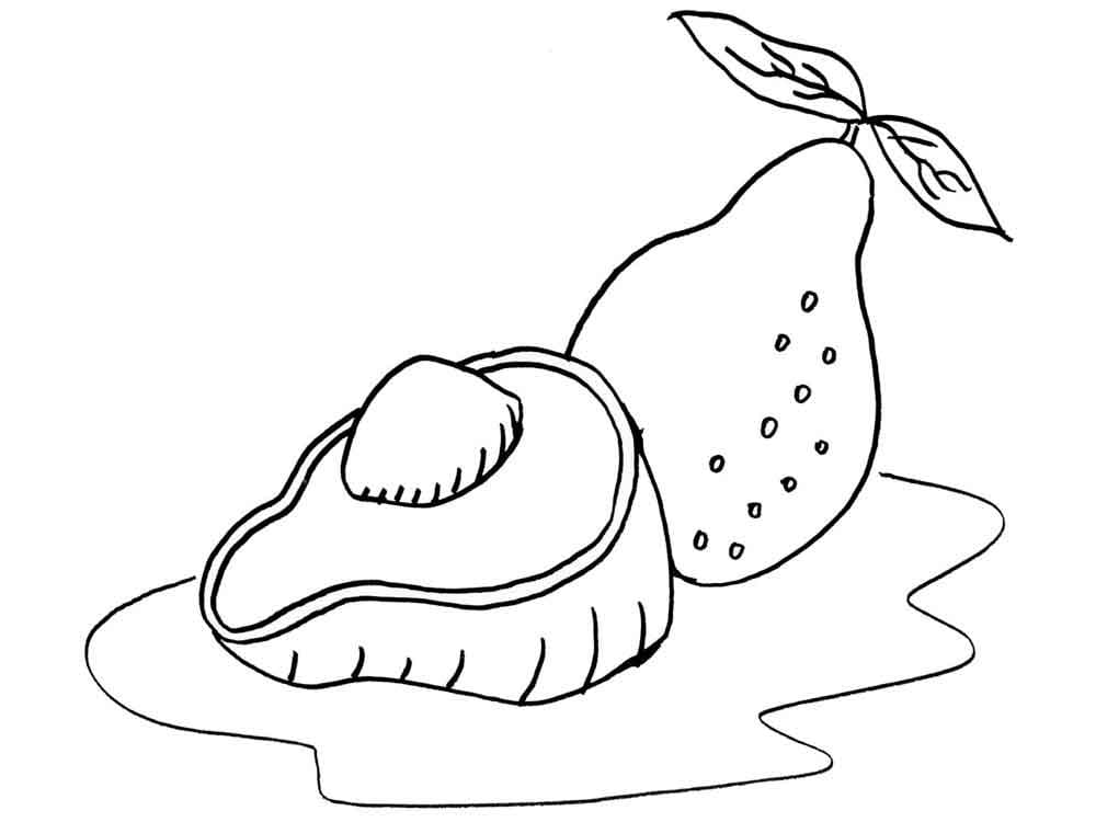 Druckfertiges Avocado Bild ausmalbilder