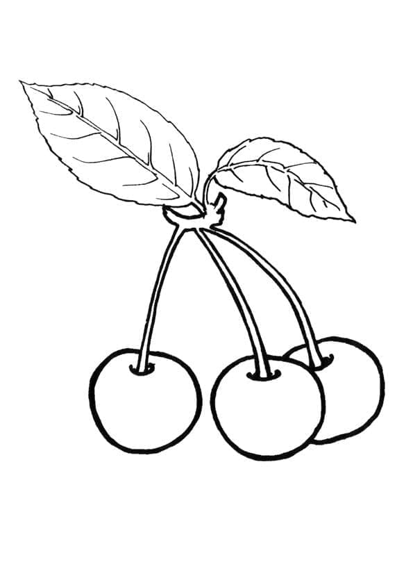 Kirsche ausmalbilder
