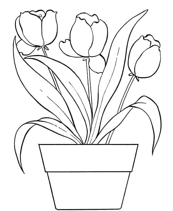 Ein schöner Blumentopf ausmalbilder