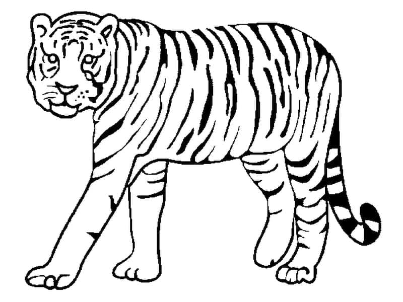 Ein wilder Tiger ausmalbilder