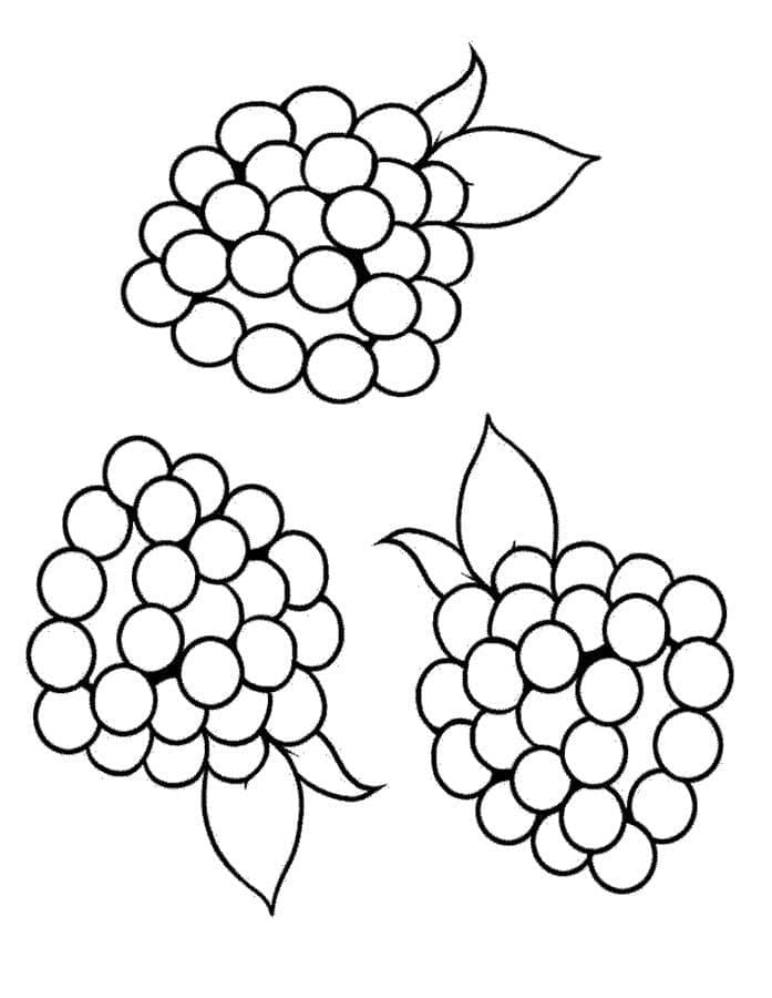 Eine Brombeere Frucht ausmalbilder