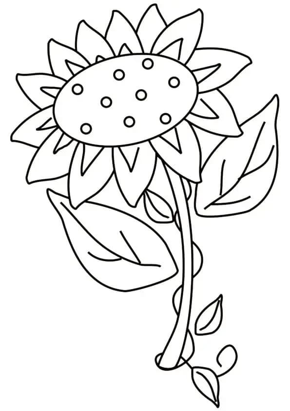 Eine schöne Sonnenblume ausmalbilder