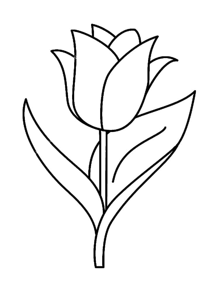 Eine schöne Tulpe ausmalbilder