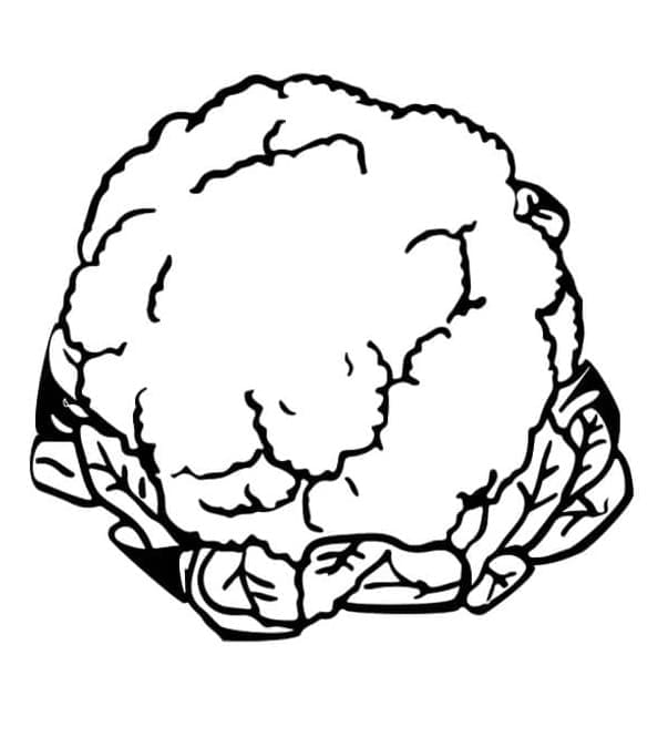 Einfacher Blumenkohl ausmalbilder