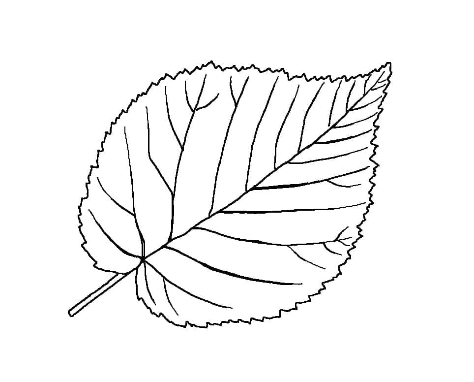 Einfaches Blatt ausmalbilder