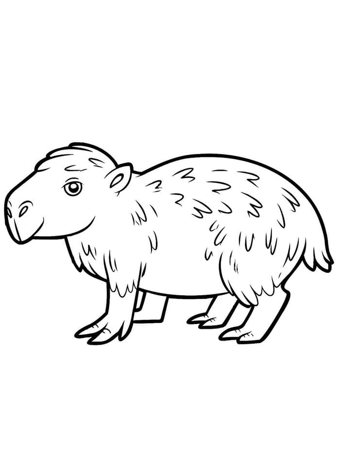 Einfaches Capybara ausmalbilder