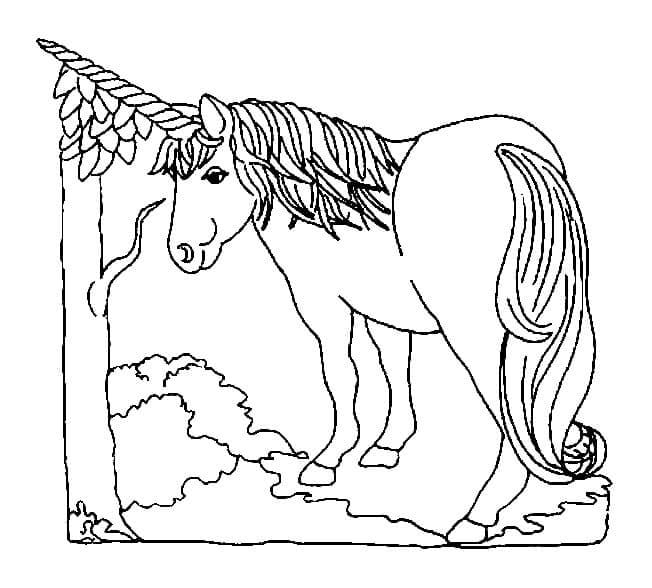 Einhorn (1) ausmalbilder