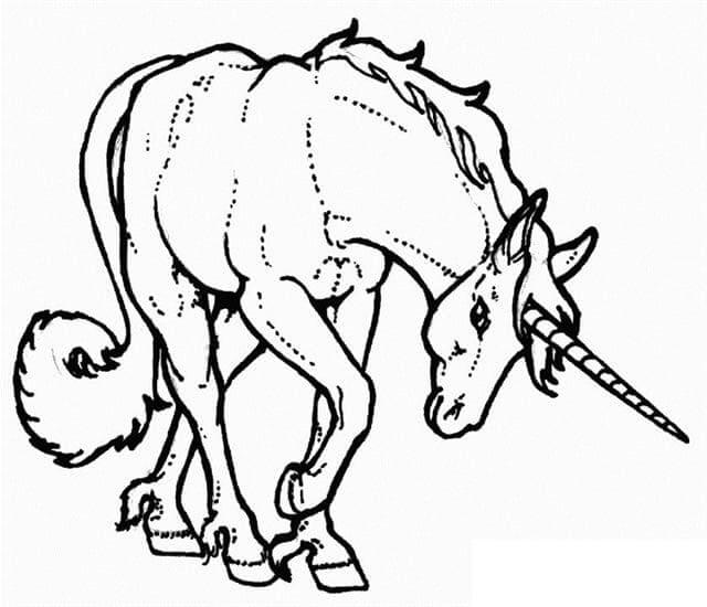 Einhorn (3) ausmalbilder