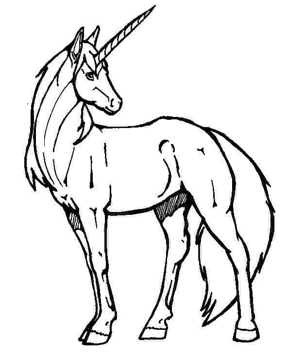 Einhorn Bild Frei ausmalbilder