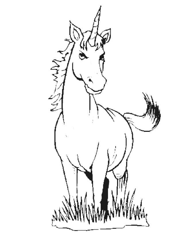 Einhorn Für Kinder Gratis ausmalbilder